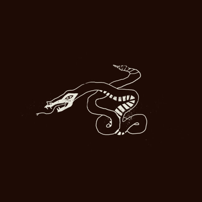 Illustration étiquette bière artisanale – création Rouge Poisson