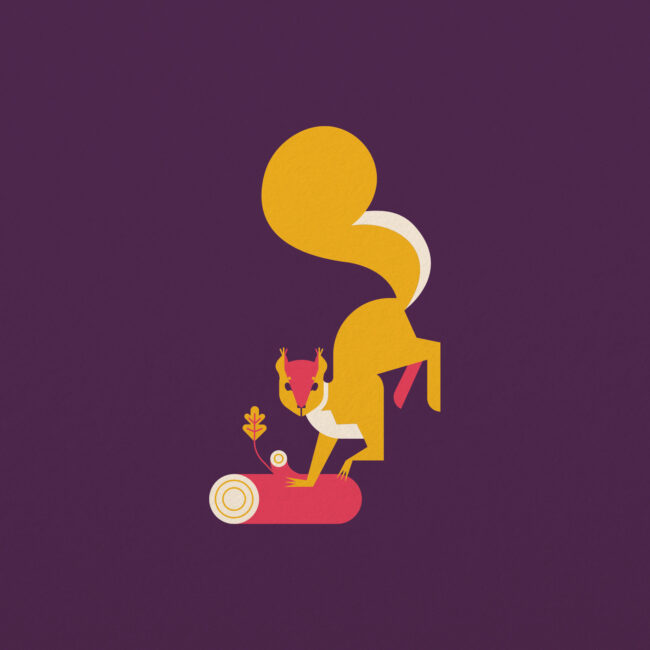 Illustration gamme softs – ginger beer – création graphique Rouge Poisson